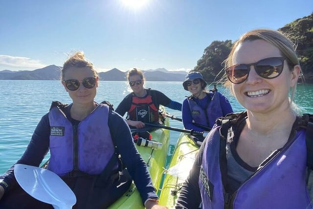 A beautiful day paddling in the Marlborough Sounds with Marlborough Sounds Adventure Co.